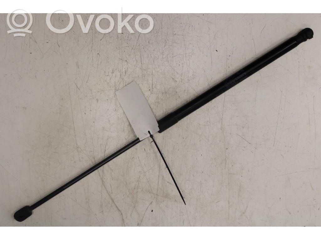 Tailgate/trunk strut/damper