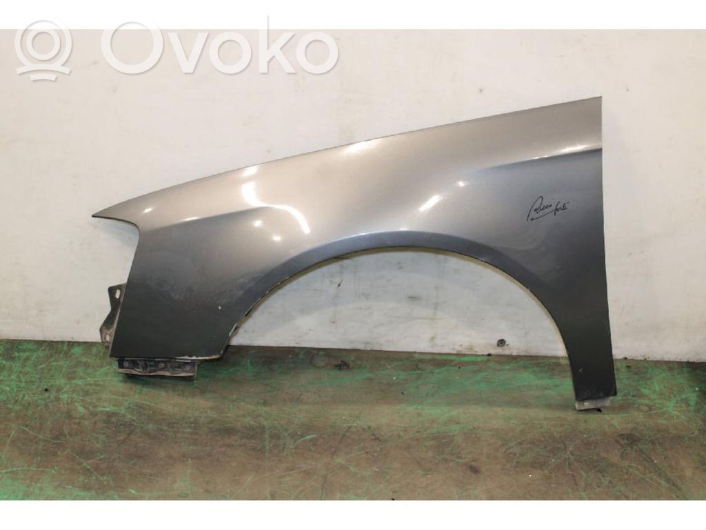 Guardabarro   3C0821021