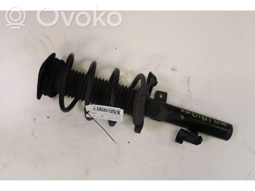 Amortiguador delantero   1234204