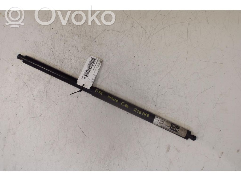 Rear window strut damper