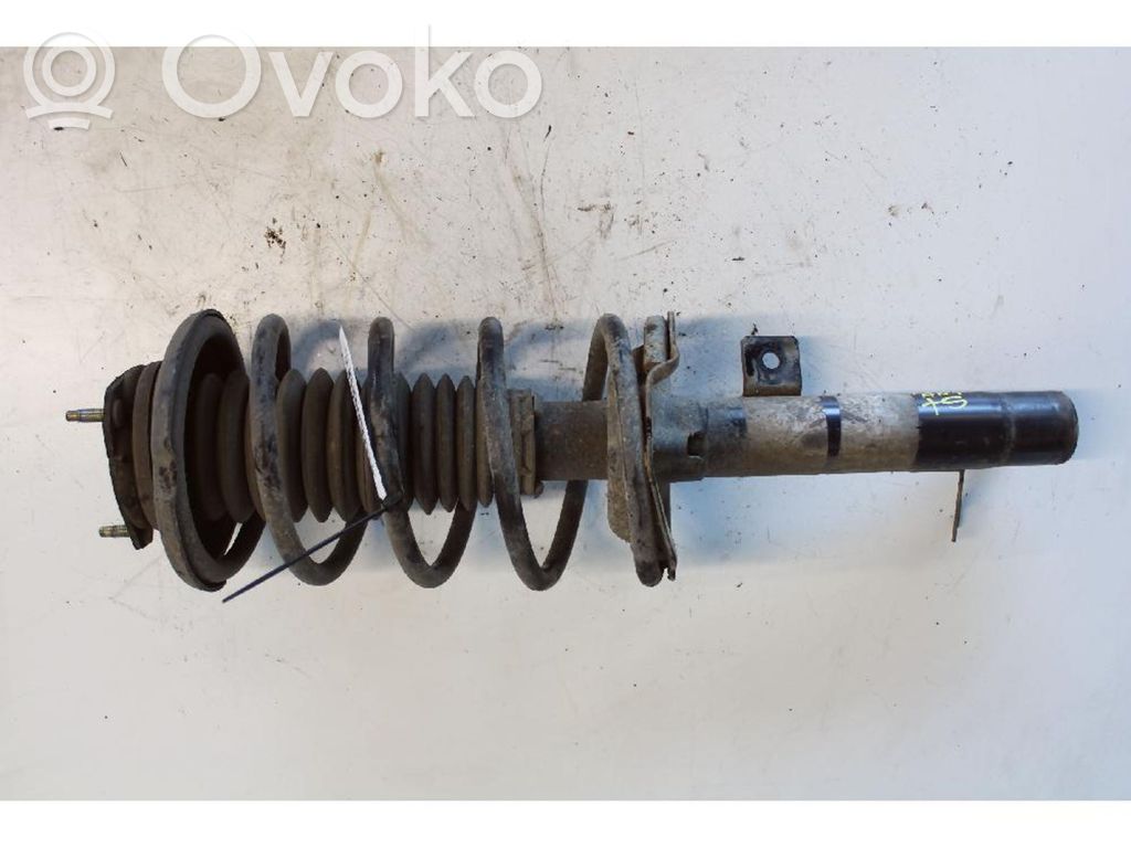 Front shock absorber/damper   1069138