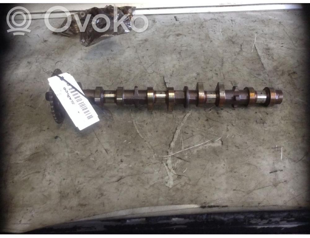 Toyota Corolla Verso AR10 Albero a camme