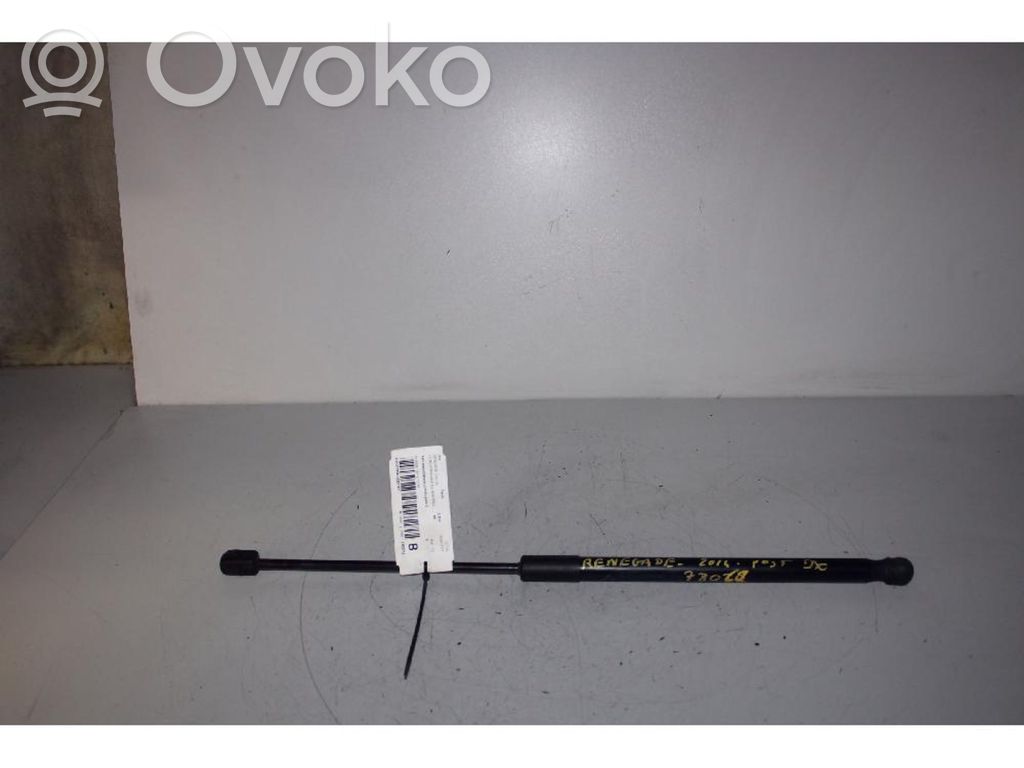Tailgate/trunk strut/damper