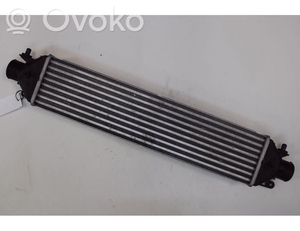 Fiat Doblo Radiatore intercooler 