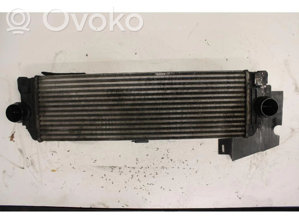 Mercedes-Benz Sprinter W906 Radiator intercooler 