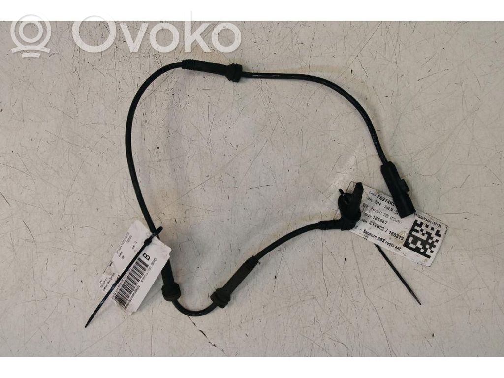 ABS Sensor   10071153823