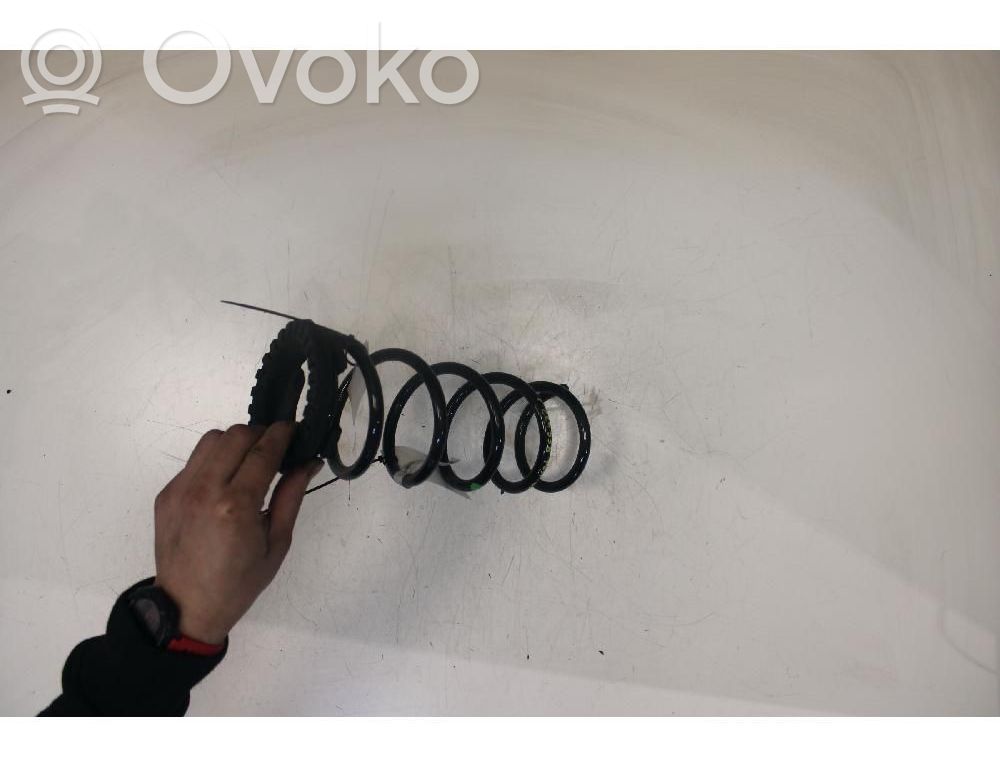 Rear coil spring