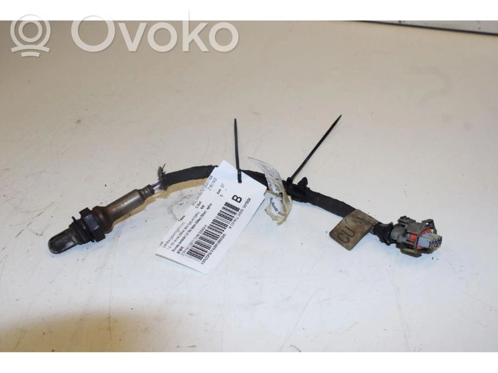 Sonde lambda   55560916