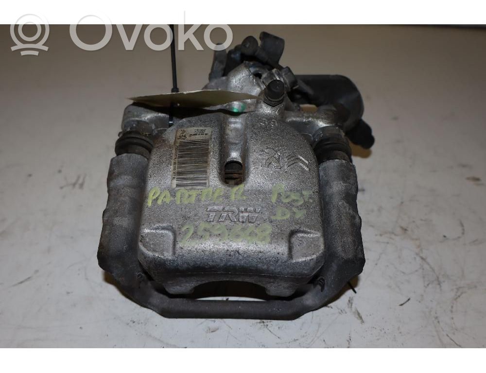 Takajarrusatula   9819337780