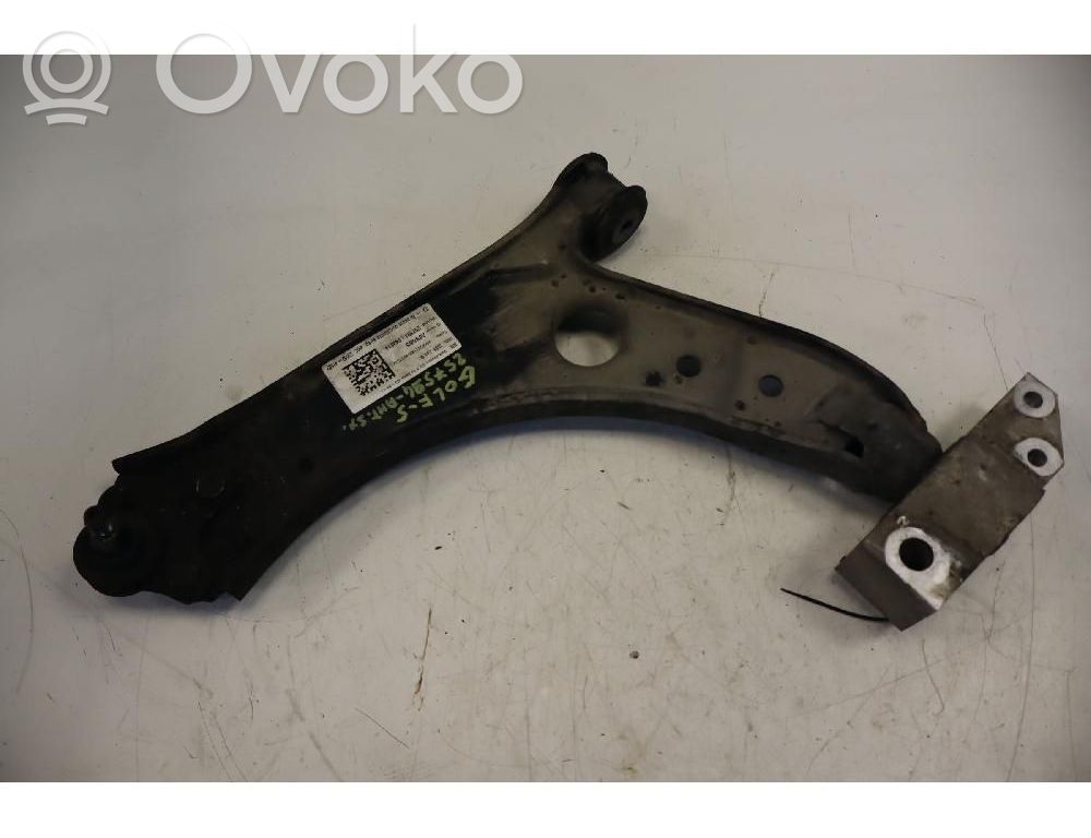 Volkswagen Golf V Braccio di controllo sospensione anteriore inferiore/braccio oscillante