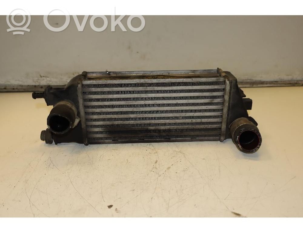 Radiador intercooler   51837873