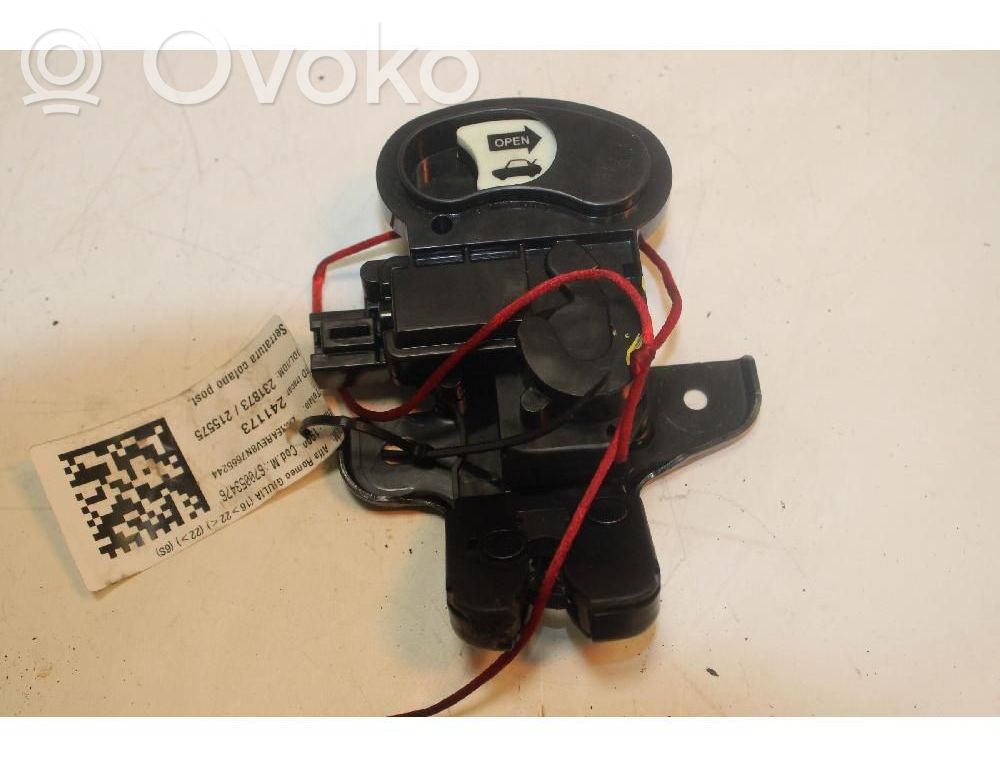 Tie down hook / loop   3037075