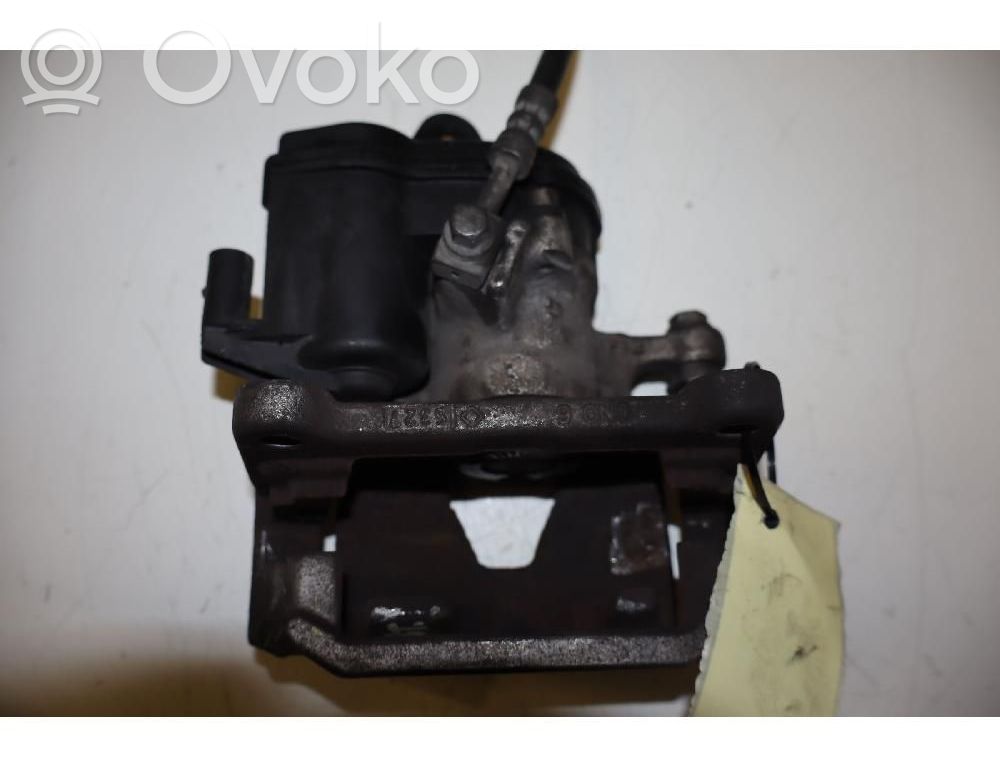 Takajarrusatula   8W0405AT