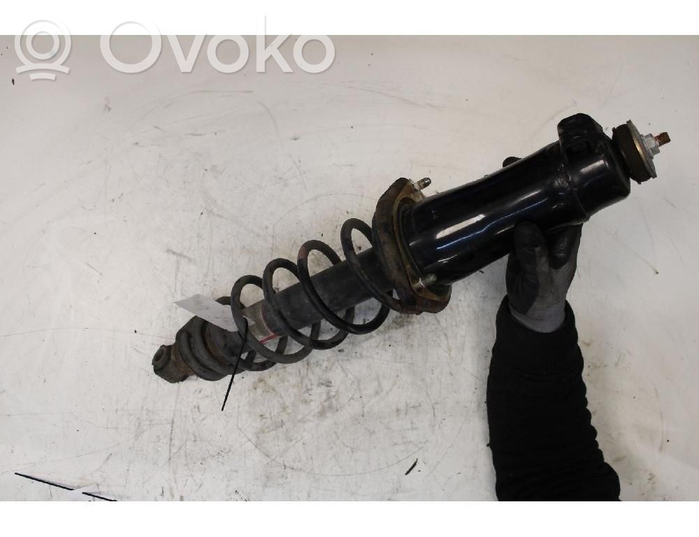 Stoßdämpfer hinten