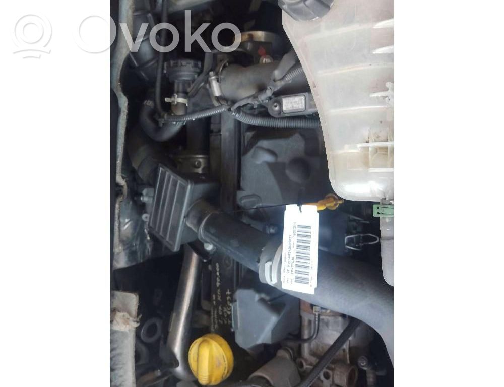 Renault Kangoo II Motor 
