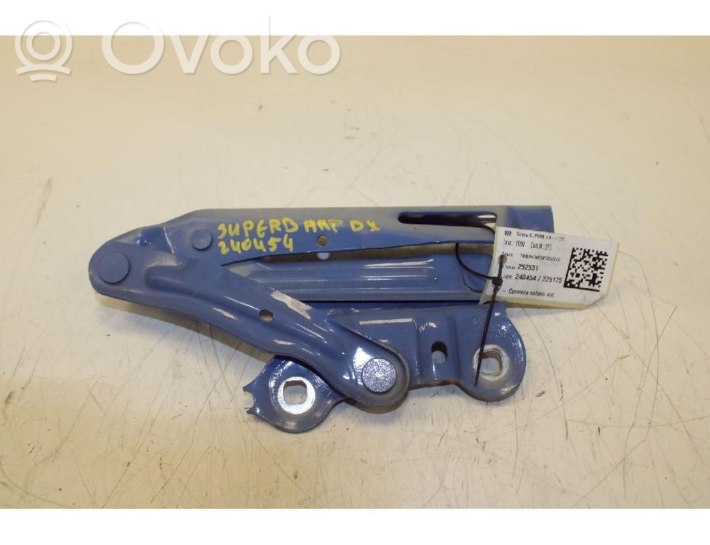 Skoda Superb B8 (3V) Cerniere del vano motore/cofano 