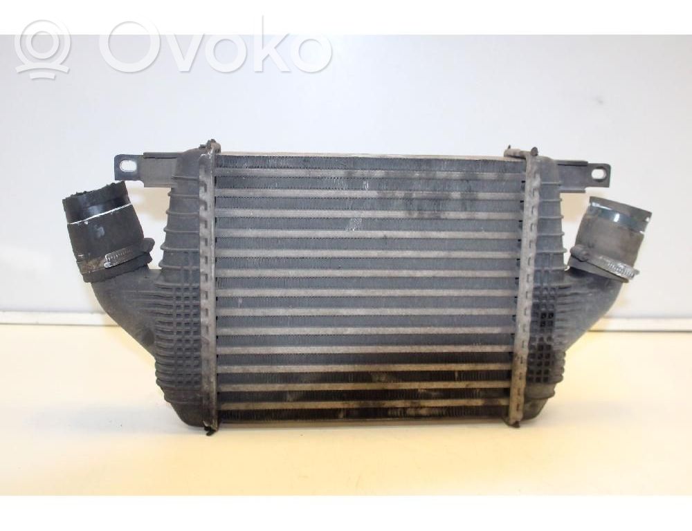 Intercooler radiator   14461MA70A