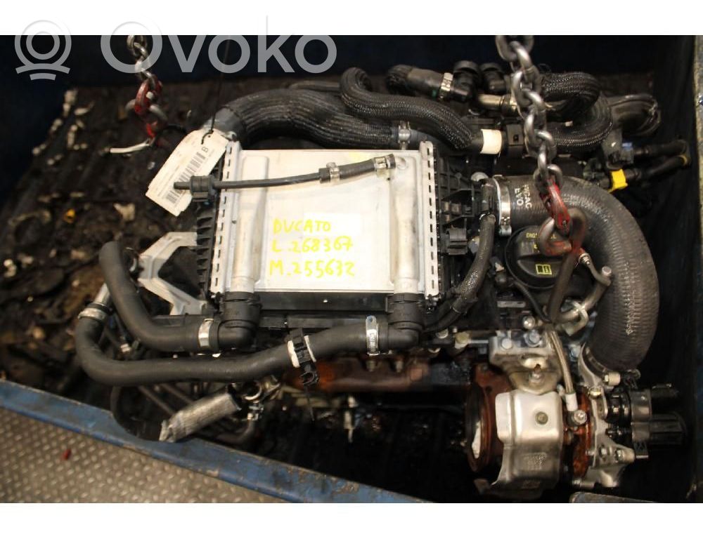 Motor   46356294
