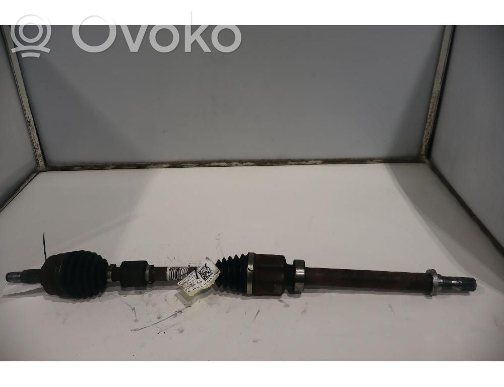 Semiasse anteriore   391000823R