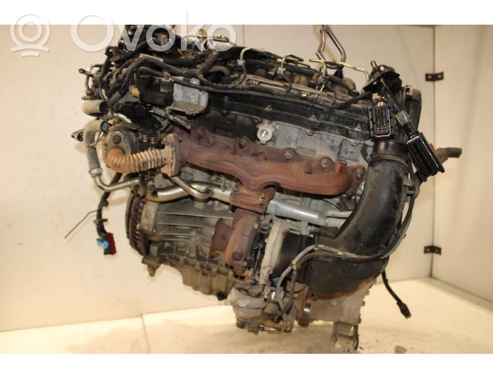 Motore   D5204T6