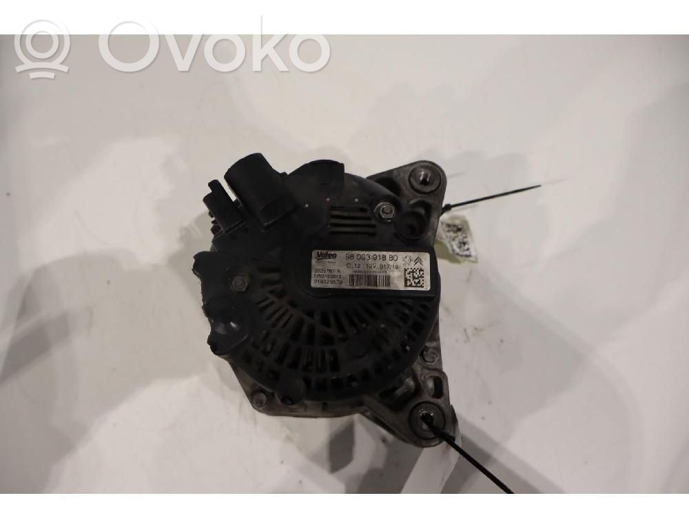 Alternator   9809391880