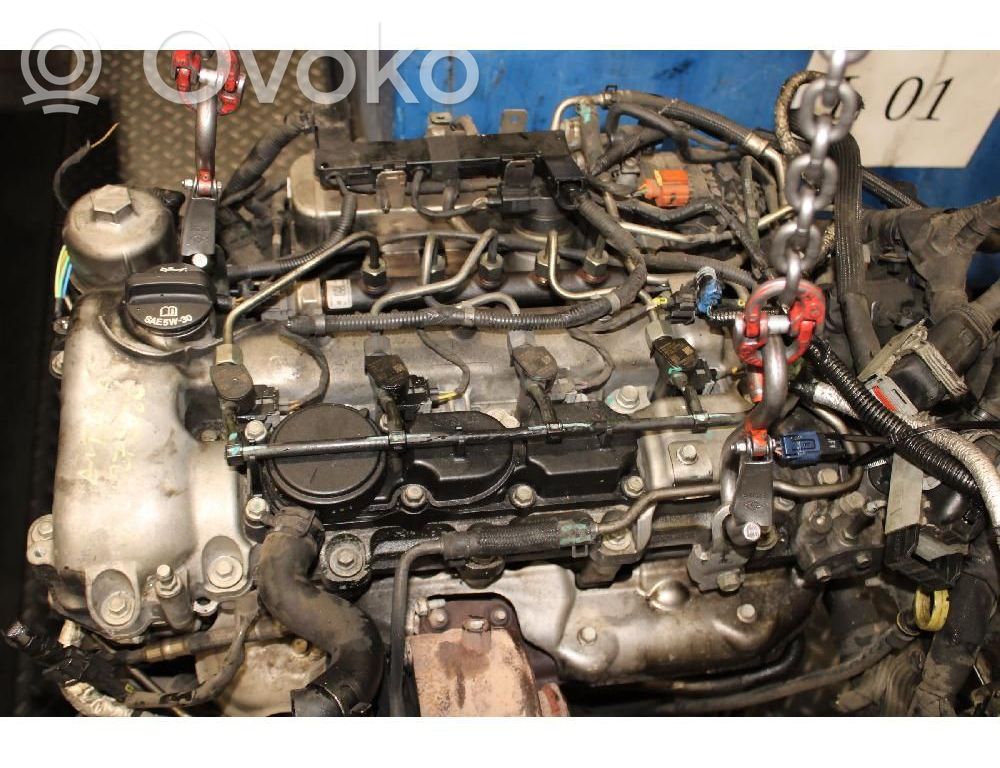 Motor   Z22D1