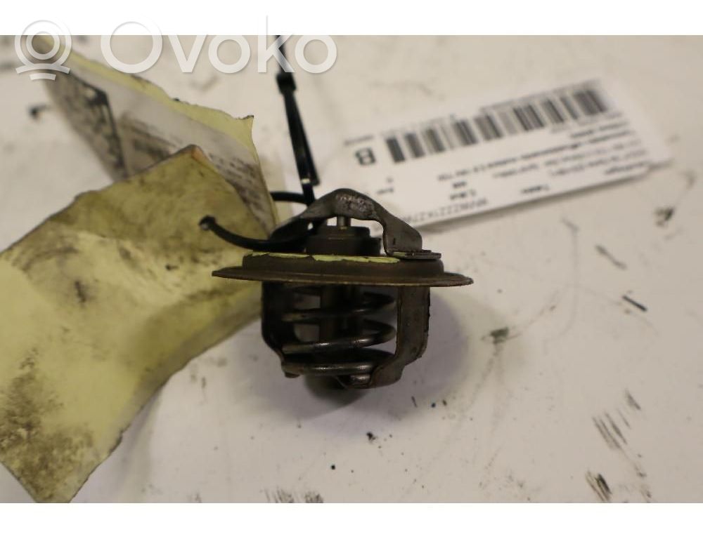Volkswagen Golf V Termostat/carcasă termostat 