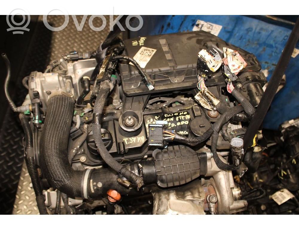 Motor   8H01