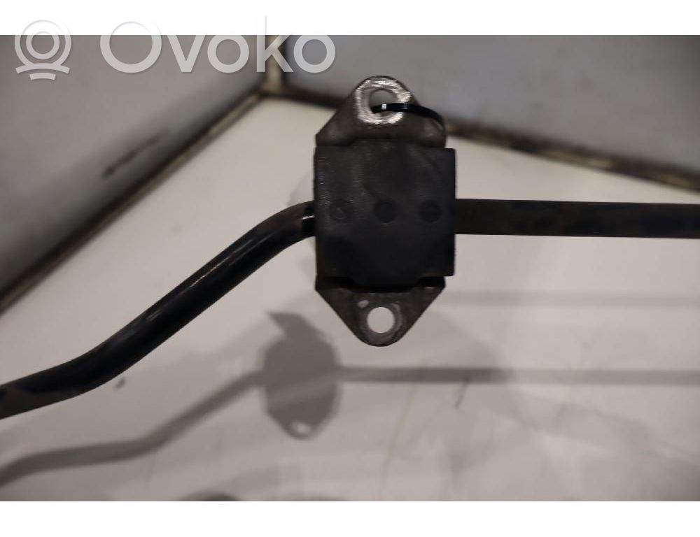 Stabilisator hinten