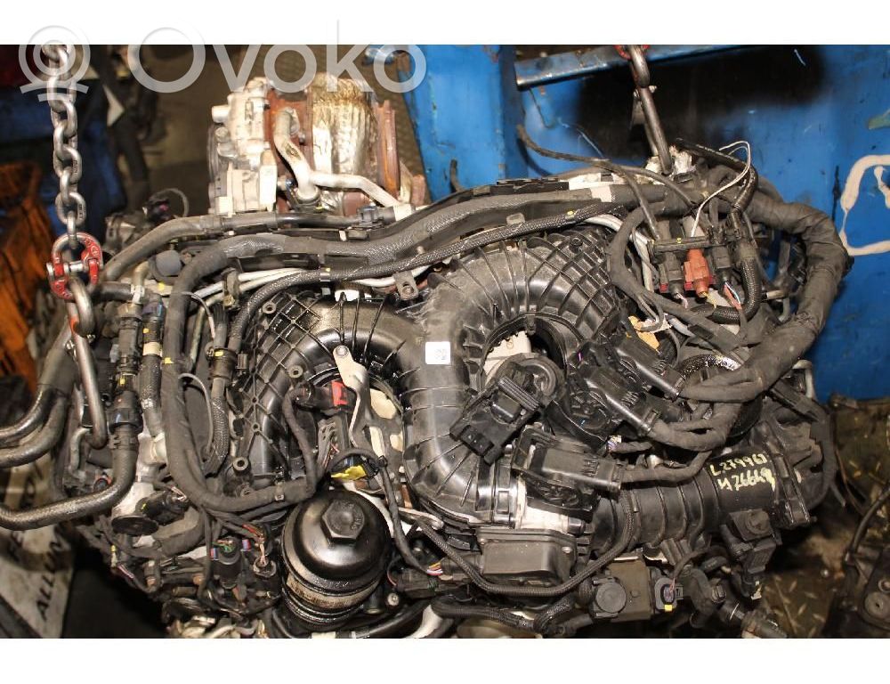 Audi A8 S8 D5 Motore 