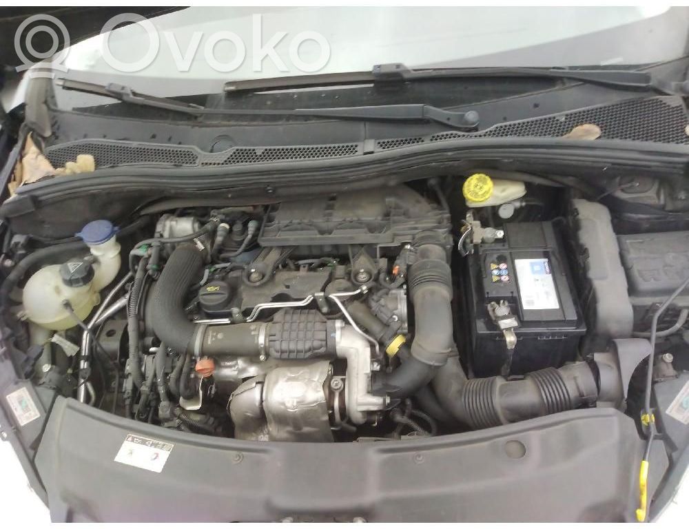 Motor   8H01