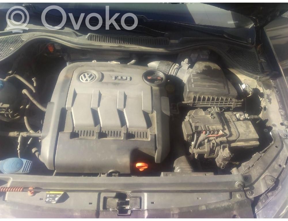 Volkswagen Polo V 6R Motore 