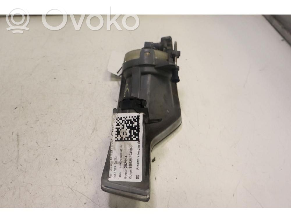 Citroen C5 Fendinebbia anteriore 
