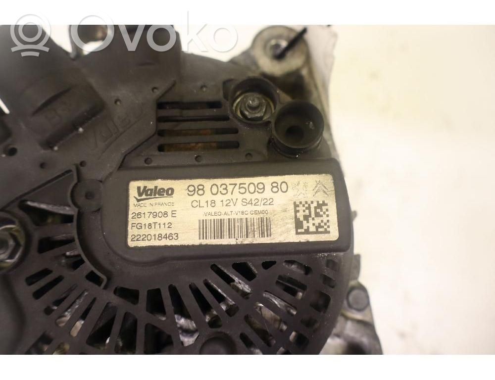 Alternator   9803750980