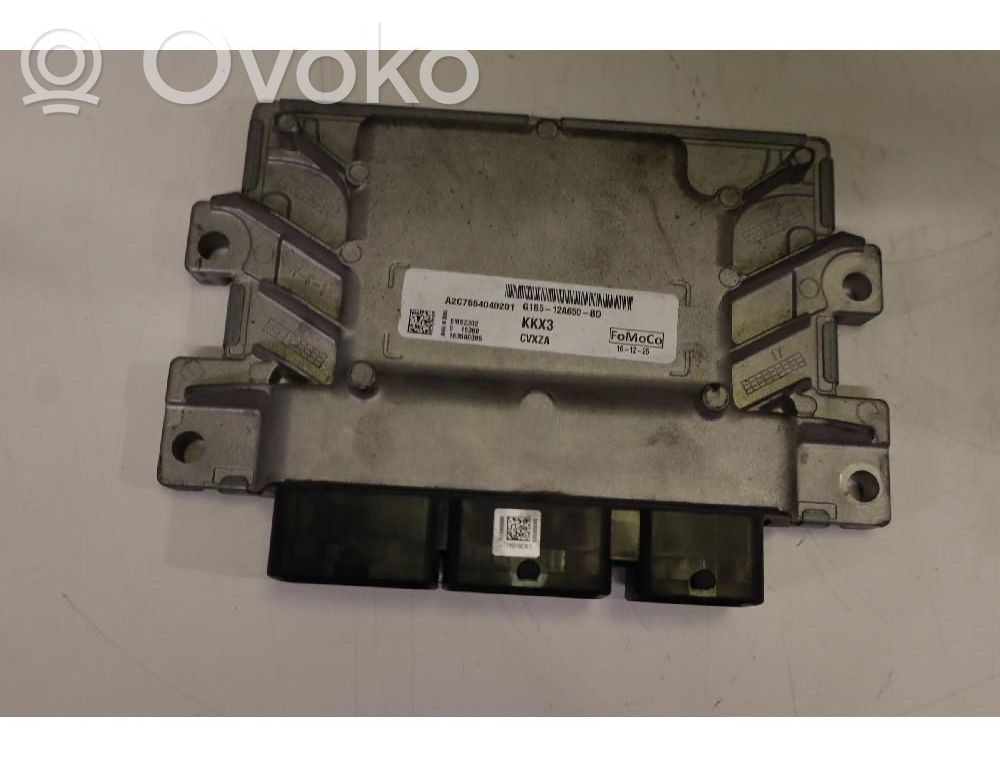 Unité / module de commande d'injection de carburant