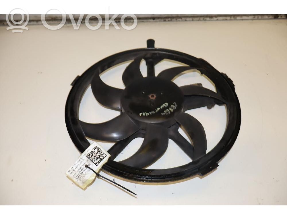 Mini Cooper Countryman R60 Elektryczny wentylator chłodnicy 