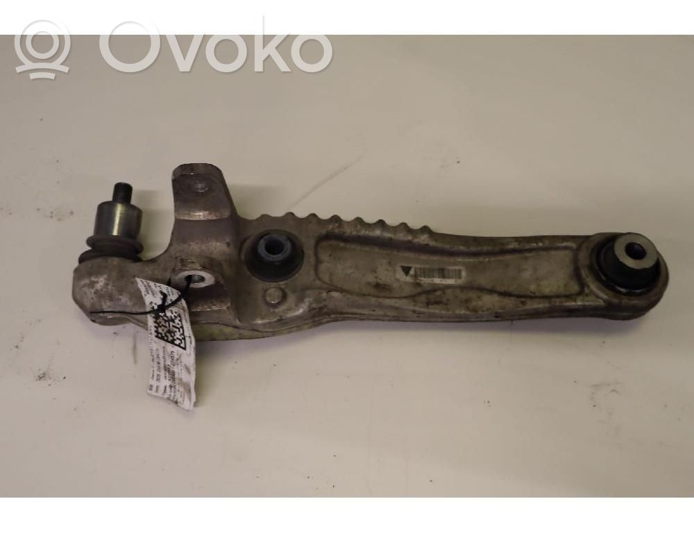 Dakša   T4A1080