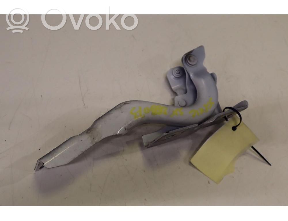 Renault Scenic E-Tech V Vyris (-iai) variklio dangčio 