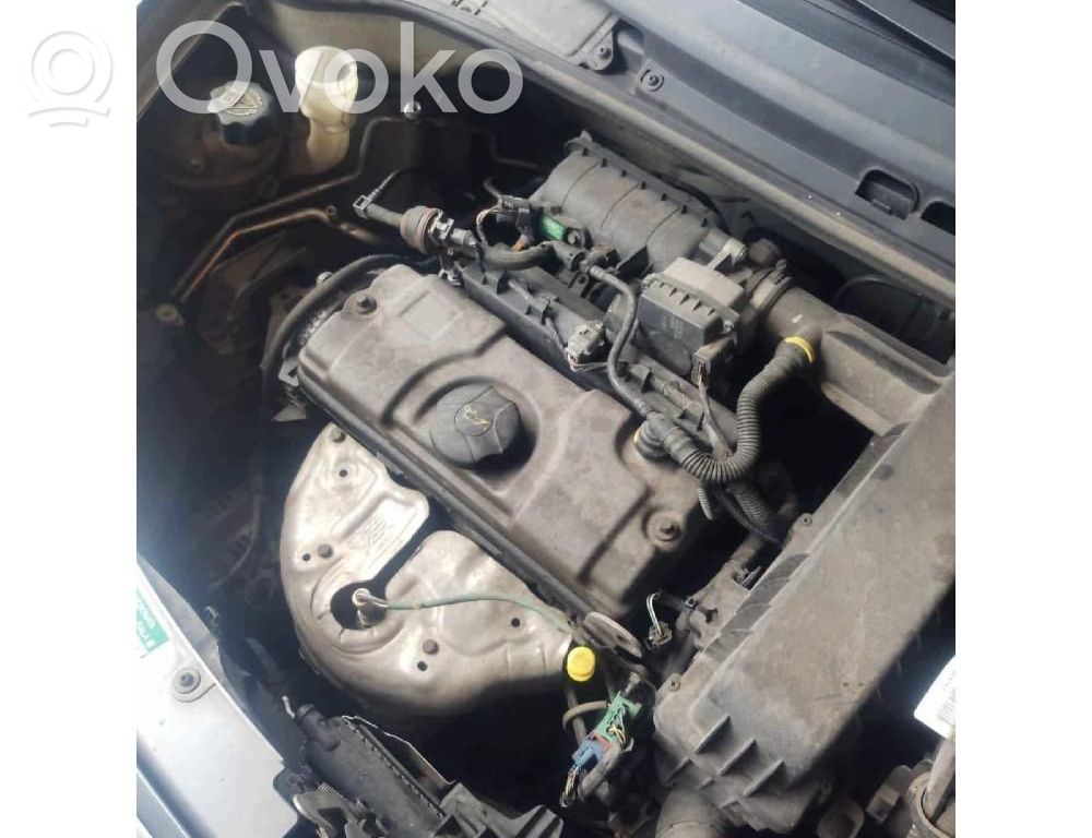 Citroen C3 Filtru de particule catalizator/FAP/DPF 