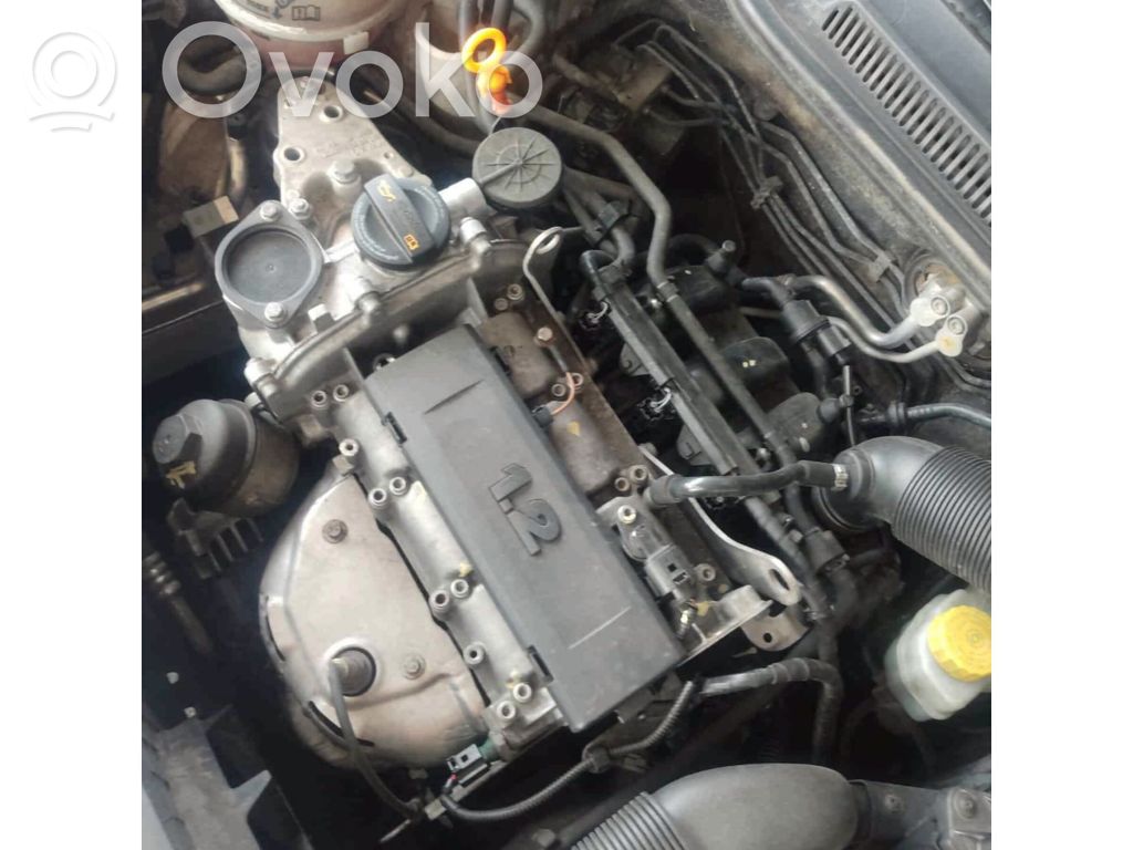 Volkswagen Polo V 6R Motore