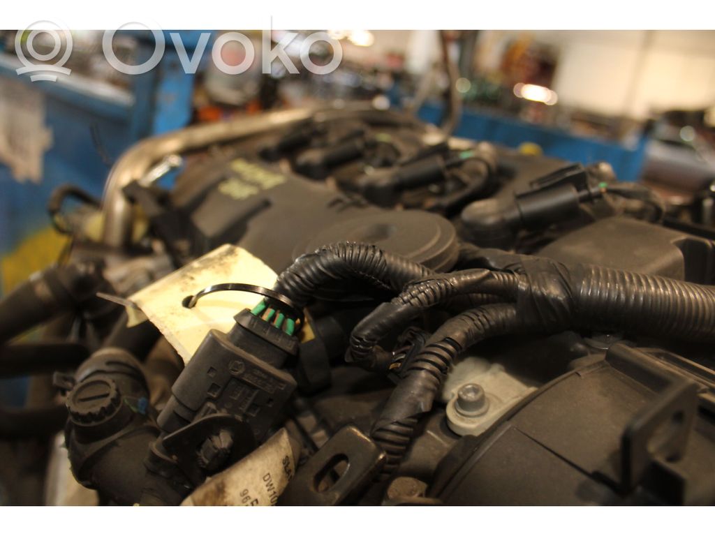 Ford Focus Variklis