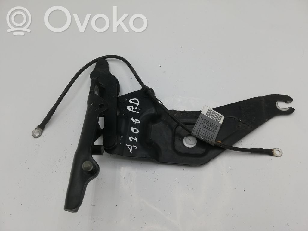 BMW X5 E70 Dzinēja pārsega eņģe (-es) 