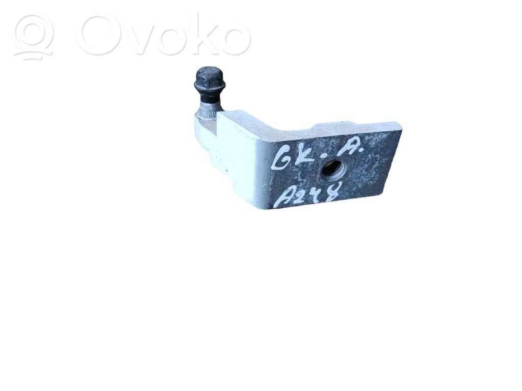 BMW X5 E70 Rear door lower hinge 