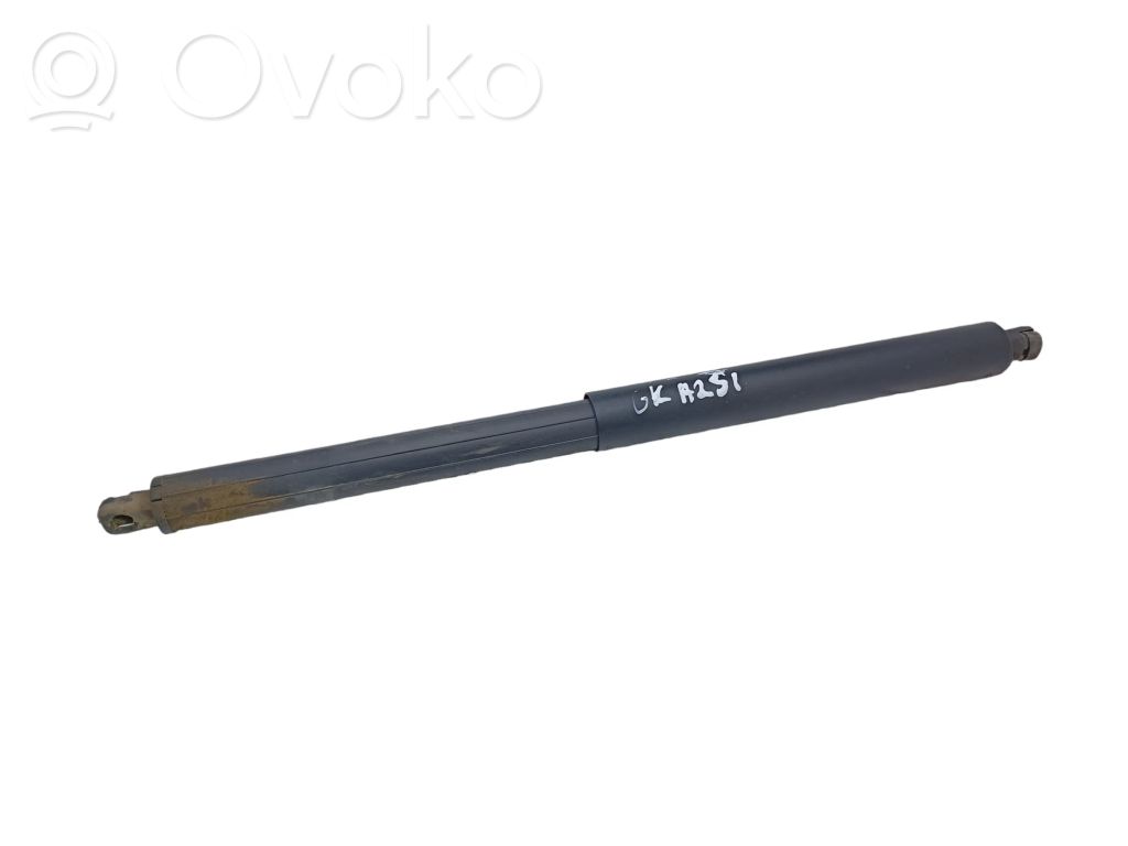 Tailgate strut   51247177283