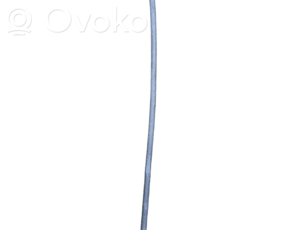 Trosīte   3924754