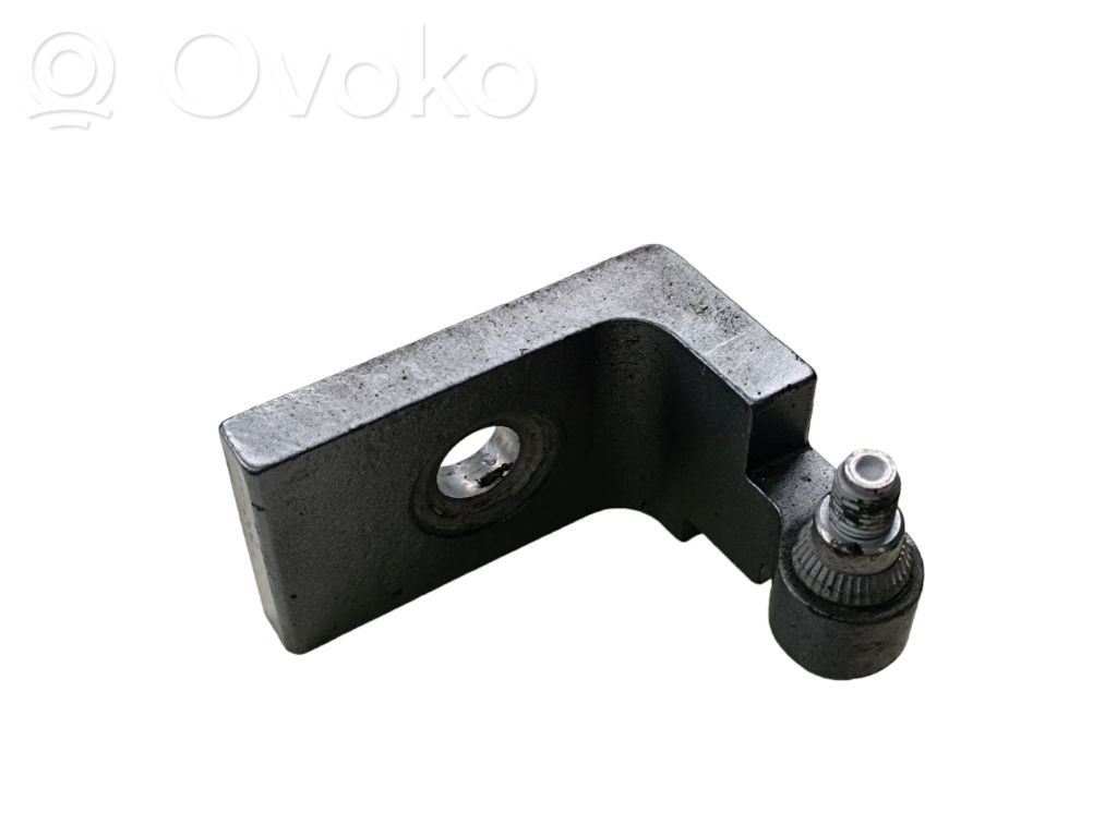 BMW X6 E71 Front door lower hinge 