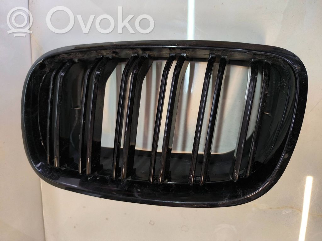BMW X5 E70 Front bumper upper radiator grill 