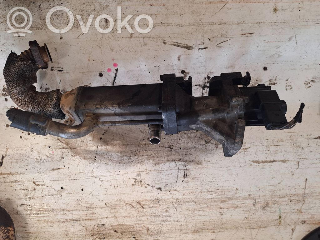 Land Rover Freelander 2 - LR2 Válvula EGR 