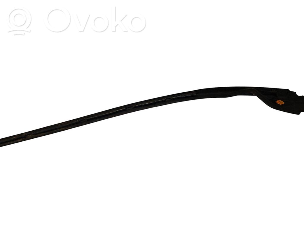 Windshield trim   31378573