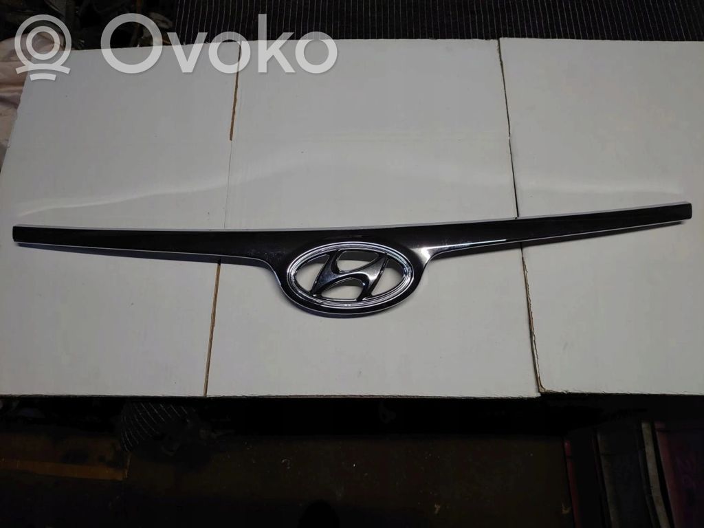 Front grill   86352A6820